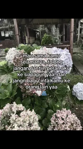 🤍🤍