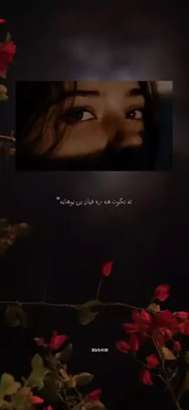ته یاری دکرن بهه ستئت من🫠#zaxo_duhok_hewler_slemani_hawler #کوردستان🇹🇯️ #kurd #kurdish #waartv #miusic #kurdistan #اغاني #py #pyf #pyp #aktiv #ئه_كتيڤ_بن💔😌 #ئه_كتيڤ_سفره_ #pyfツ #duhok #explore #edit #explor #CapCut 