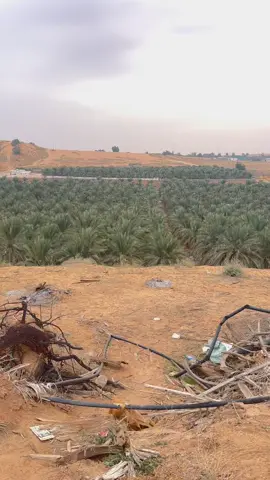 تنورن ع الاصفر بل بايو 🤍#CapCut #اكسبلور #ترند #بريده_القصيم #ماشاءالله #اكسبلوررررر #لايك #فلات 