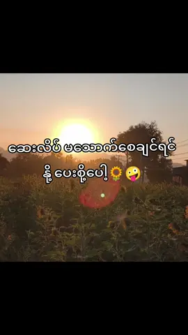 #fpyシ #forpage #following #thankb4youdo #follow #fpyシ 