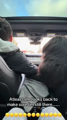 #bye #byebye #car #backseat #queen #boss #bossbabe #viralvideo #trending #funnyvideo #funnymoments #haha #laugh #dog #dogsoftiktok #dogs #dogsofttiktok #doglover 