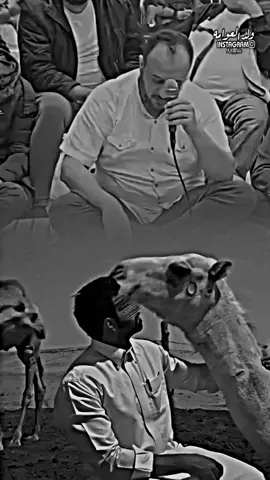 ومن خوف لمواجع يقتلن لموده 💔🚶🏻 #شتاوي_وغناوي_علم_ع_الفاهق❤🔥  #غناوي_وشتاوي_علم_الليبي❤💯🔥   #مصمم_أيمن_العوامي🔥 #ولد_العوامه🔥✈️ #fyp #tiktok_india 