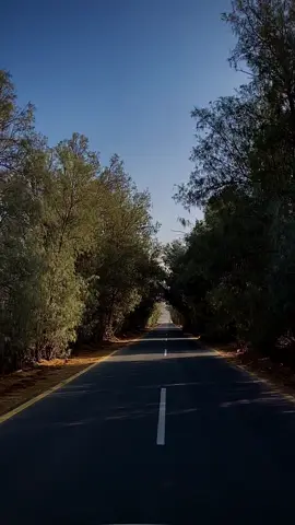 #اكسبلورexplore #هاشتاق_حايل #تصويري_احترافي_الاجواء👌🏻🕊😴 #حايلندا #الخطه #الطوال 