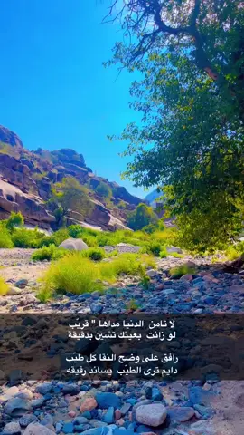 #شعر #قصيد #دعاء #حكم #خواطر #fypシ #foryou #vairal #fyp #explore #pov 