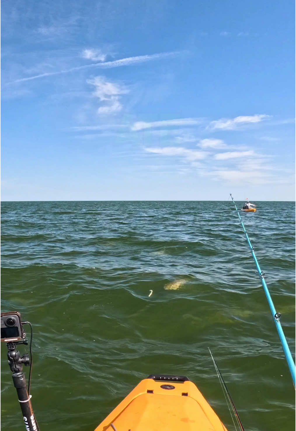 Throwing into happy redfish on the surface will never get old! #redfish #kayakfishing #saltwaterfishing #fishing
