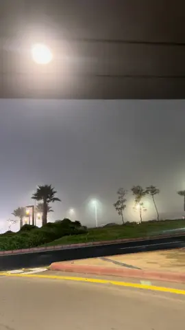 #ابها_الان #ضباب #مطر#اكسبلورexplore #ترند #fypシ #ابها_خميس_مشيط #الوسيط_السريع #اكسبلووووورررر #محمد_عبده #مس_ورد_الخد 