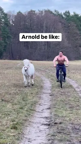 Arnold be like ‼️ Read captions 👇 Transform your body in 12 week with our Ultimate Sculpting Workout Program! 💪 Plus, get exclusive bonuses to supercharge your results. More details: link in my bio! ⬆️ ##workoutplan##sports##GymTok##gymmotivation##Fitness##workout ##viralvideo##viral##bodybuilding##bodybuilder##usa🇺🇸##canada🇨🇦##america##europe##england#usa_tiktok
