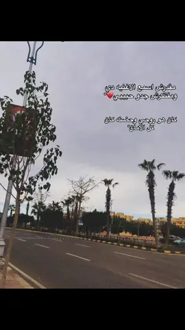 #video #tamerashour #fipシviral #explore 