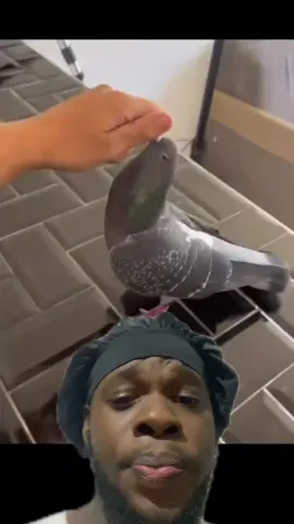 Il a un Pokémon pour lui #devinelapersonne #Manudiscovery1 