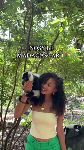 Nosy Be was fun 🌞🌴🐒  #nosybe #nosybeisland #madagascar #madagasikara #mada #nosyiranja 