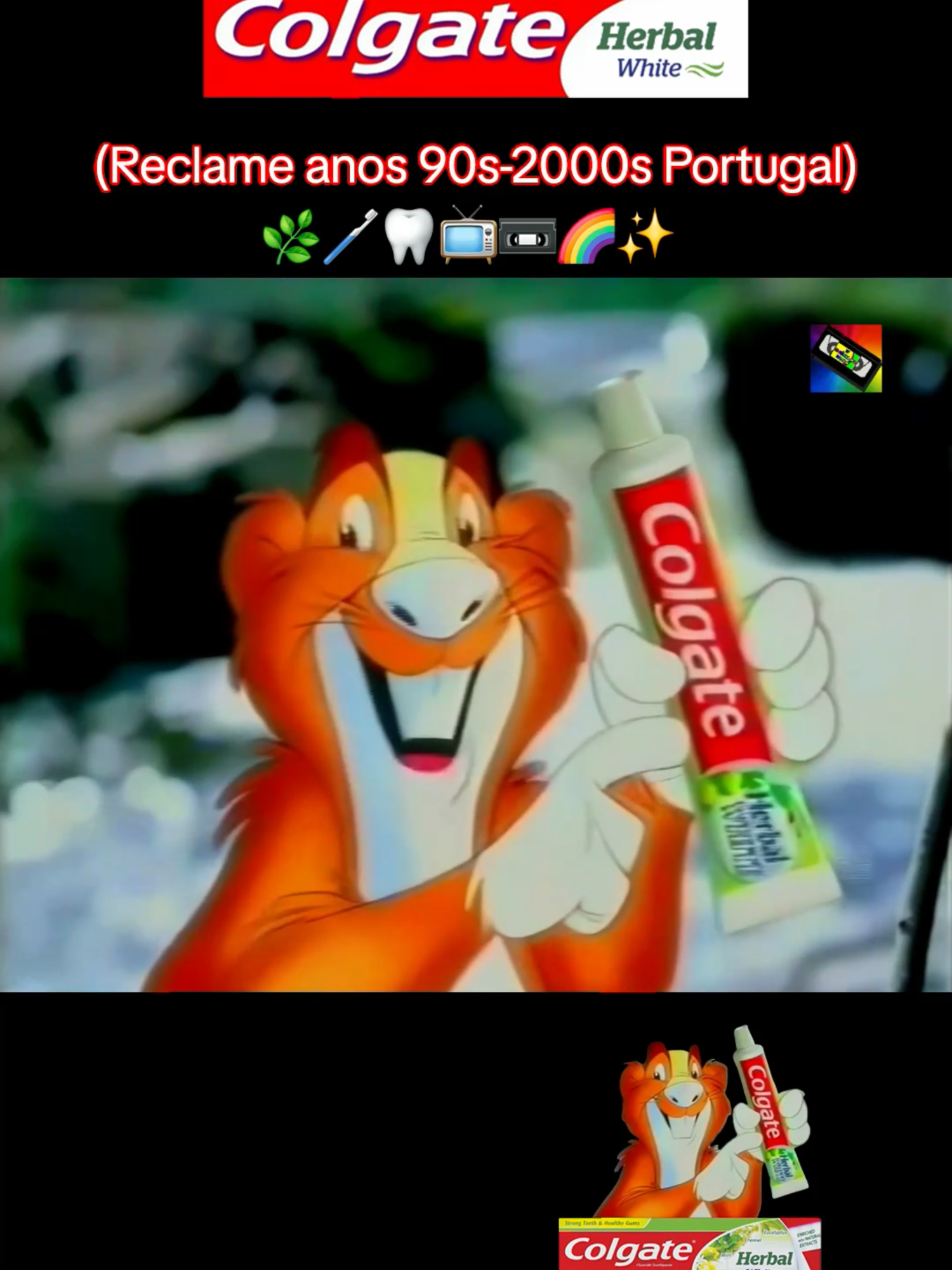 Quem se recorda do Castorzinho da 