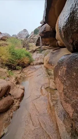 #تصويري #اكسبلورexplore #مشاهدات #حايلنا #حايلنا #حائل 