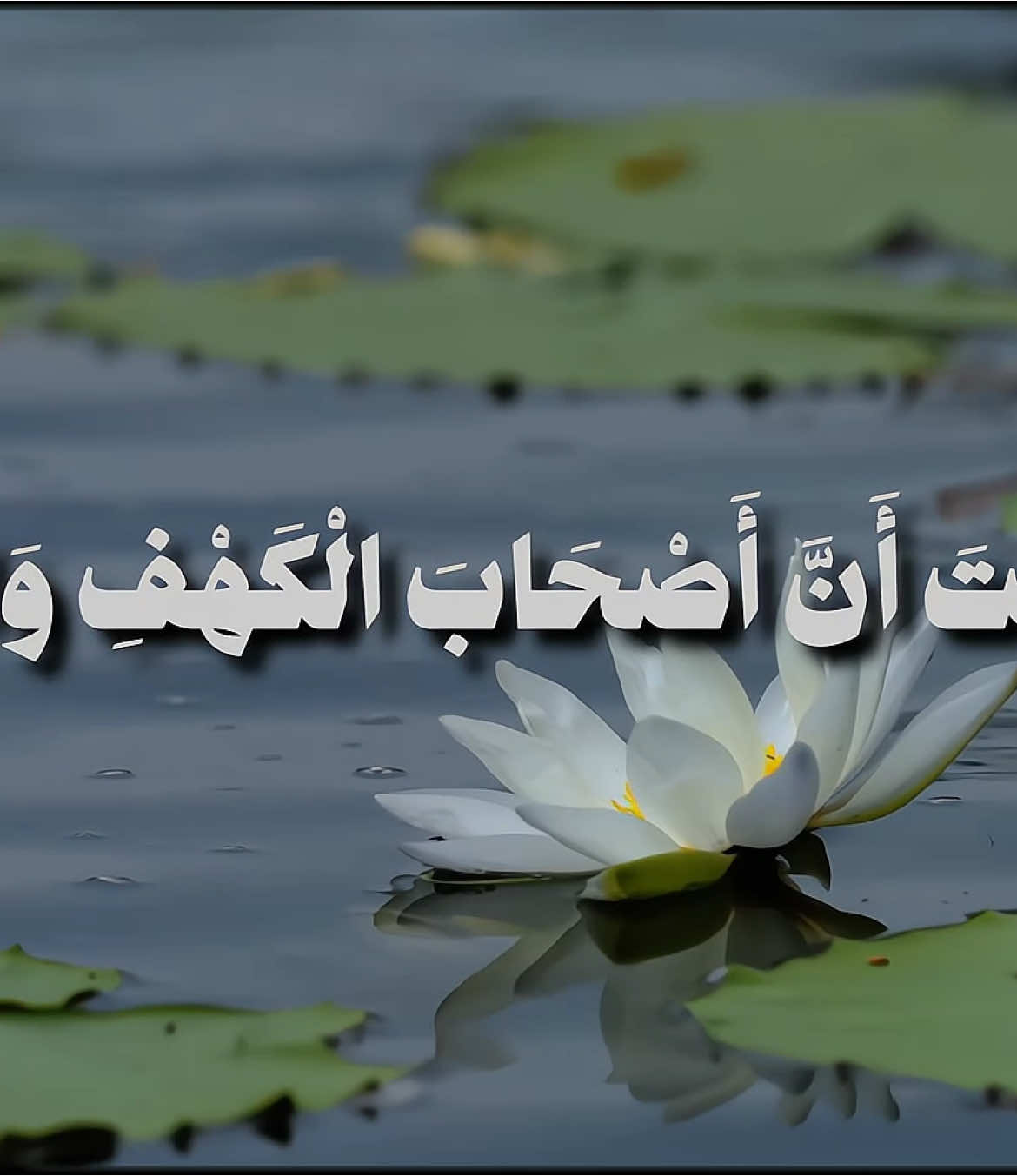 الجزء 74 | رَبَّنَا آتِنَا مِن لَّدُنكَ رَحْمَةً #قران #quran #المنشاوي #foryoupage #viral #fypシ #ارح_سمعك #ايات_قرانيه #foryou #اكسبلورexplore @عِزْ! @تِلاوات                                                     القارئ : #محمد_صديق_المنشاوي 