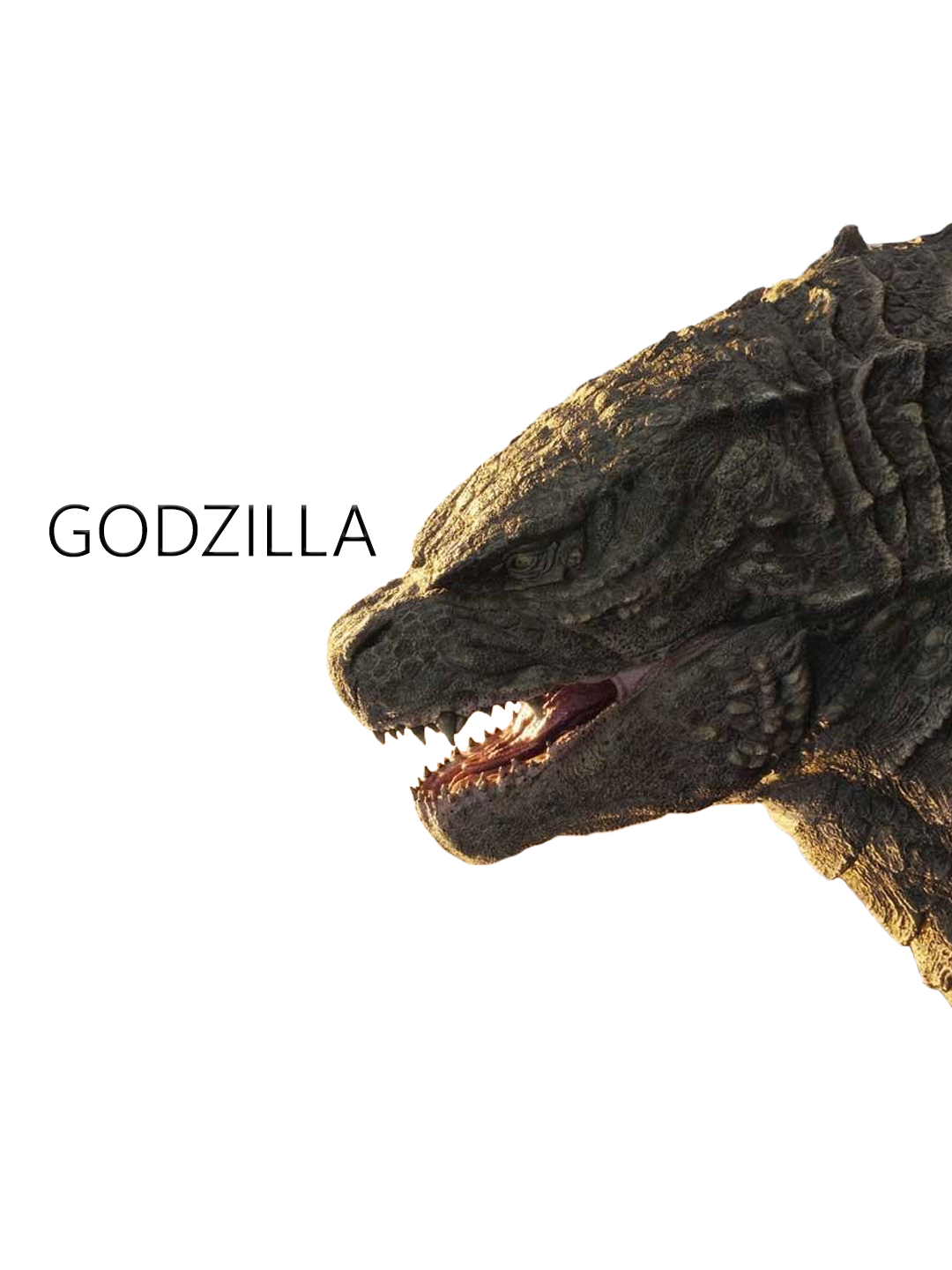 GODZILLA || @Prem || #premstyle #edit #fyp #godzilla #godzillavskongroar