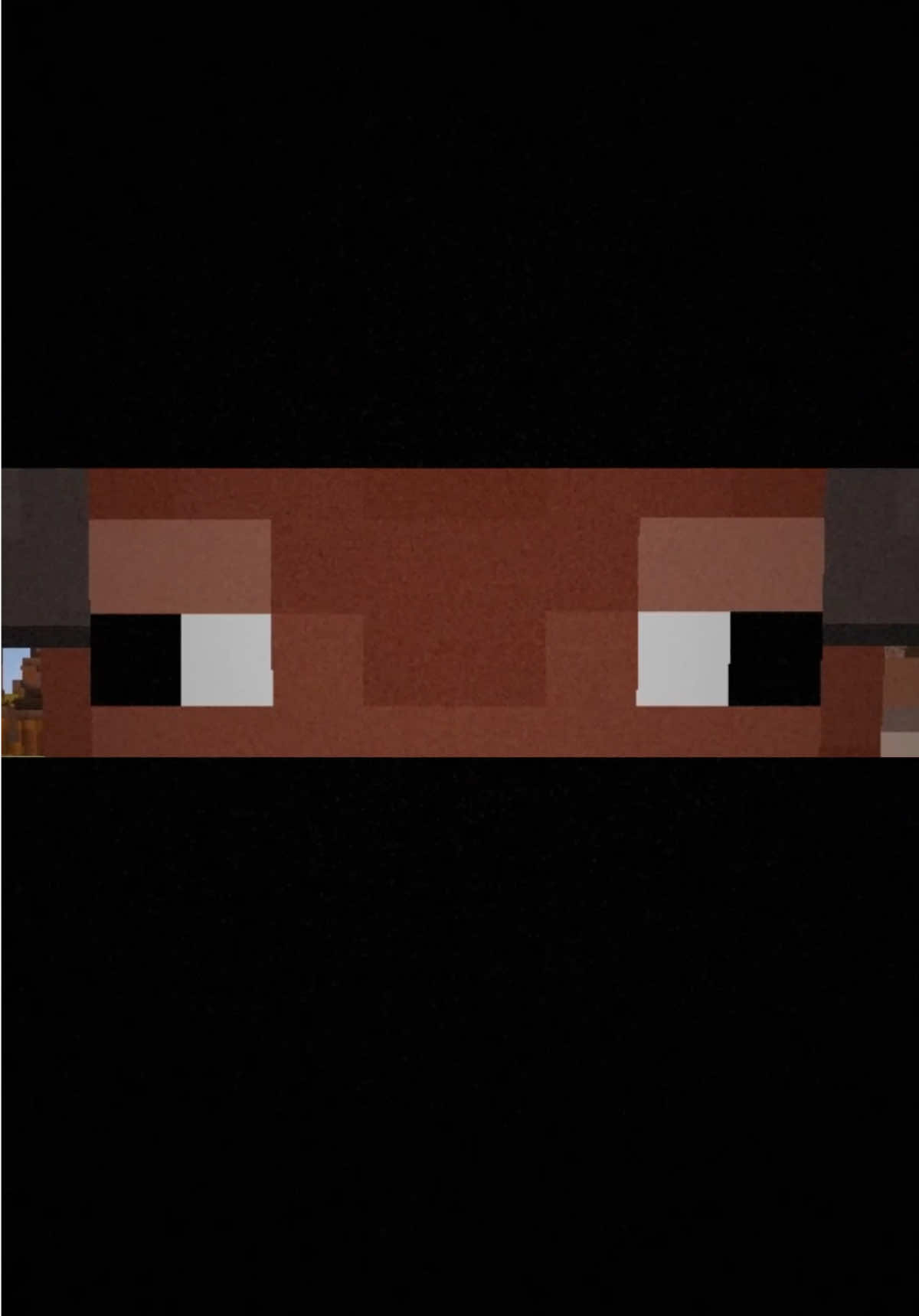 This town ain’t big enough for the two of us #Minecraft #minecraftmemes 