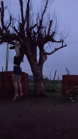 Godvibe #fyp #viral #gym #calisthenics #treino #vibe #training 