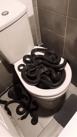 You go the toilet and see this #ai 