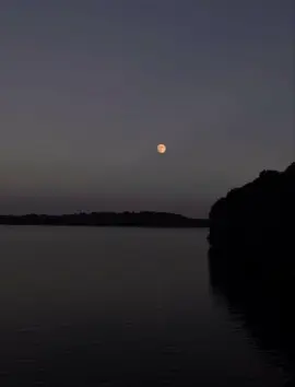 كنت عمري يا اللي مقصود بالكلام ✨ #viral #fyp #foryoupage #تيك_توك #حالات_واتس #اكسبلور #انغام #لوحة_باهتة 