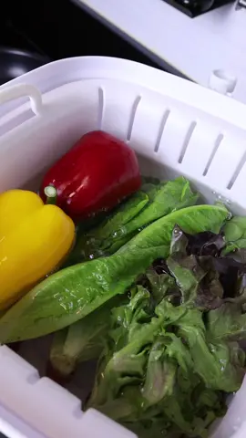 Asmr ล้างผักกรุบๆ🥬💦 #สุขภาพ #ของใช้ในบ้าน #ของใช้ในครัวเรือน #ของใช้ในครัว #สุขภาพดี #ติ๊กต๊อกพากิน #asmr #asmrsounds #ConSantanderConecto 