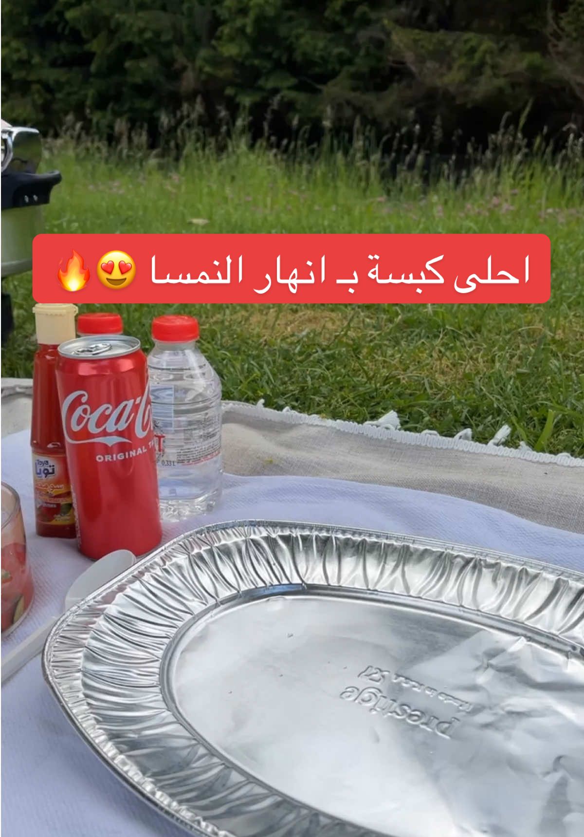 حتى وانا بالنمسا قدوري معي 2️⃣0️⃣0️⃣😍🧠 كانت الكبسه عند نهر كابرن✈️ #سفر #النمسا #زيلامسي #فينا #سفره #السعودية #مسافر #رحلات #رحلة #سكاكا #سكاكا_الجوف_اكسبلور #الجوف #اكسبلور #مسافرين #انتشار_سريع #explore #ضحك #وناسة #طبخ #طبخاتي #كبسة #فلوقات #مضغوط_بيتنا 