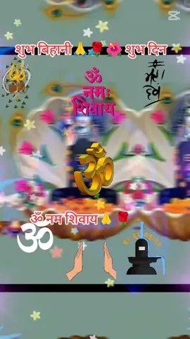 #ॐ नम शिवाय🙏🌹🌺#जय शिव शंकर🙏🌺#शुभबिहानि_सबैमा🙏🌺🌹 #fypシ #foryoupage #tiktoknepal🇳🇵 #btlmuser❤️ @राधिका नेपाल @Dipu 