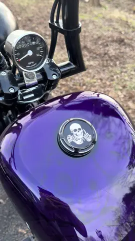#wolfcustomsofficial #harley #shovelhead #harleydavidson #shovelheadsforever #bobber #bobbermotorcycles #bobbers #bobberstyle #foryoupage #harleydavidsonlifestyle #fyp #harleydavidsonmotorcycles #purple #purplelove #bikelife #purplelover #motorcycle 