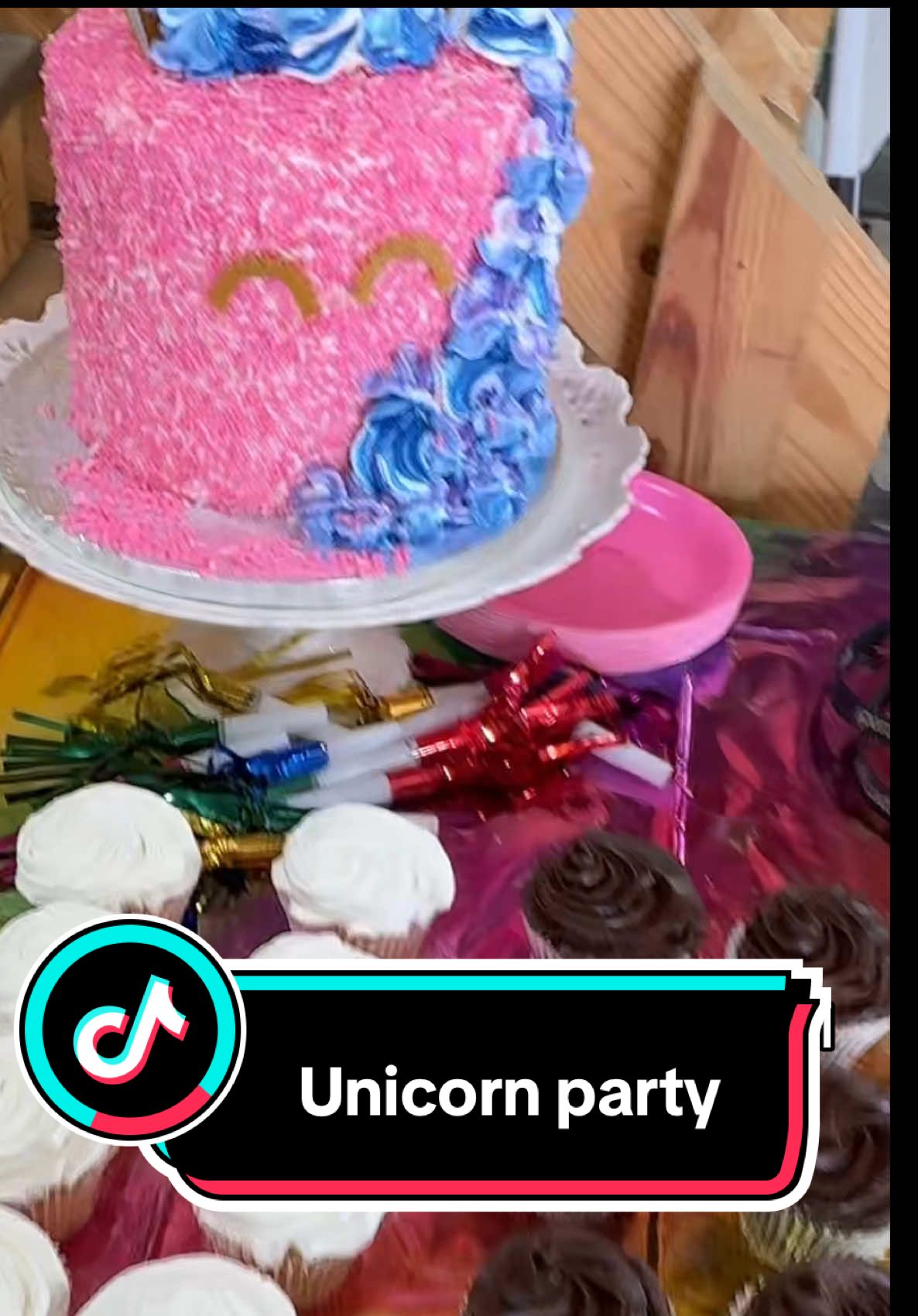 More from the unicorn party #farmlife #cuteanimals #birthday #unicorn #horse #minihorse 