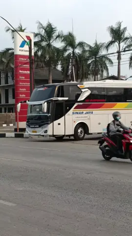 clorot 😳 #sinarjaya #sinarjayagroup #sinarjayamania #ayonaikbus #busmania 