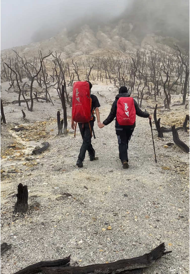 hutannya mati, cintanya abadi 🥹🖤@Ultraman Mebius #hutanmati #papandayan #gunungpapandayan 