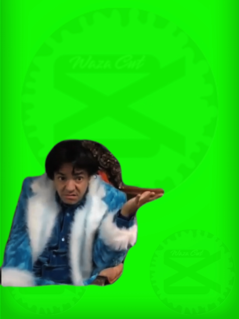 🔰PLANTILLA🔰 🌟Y? Y ya?🌟 #Meme #pantallaverde #greenscreen #sticker  #wazacut #ludovico #familiapeluche 