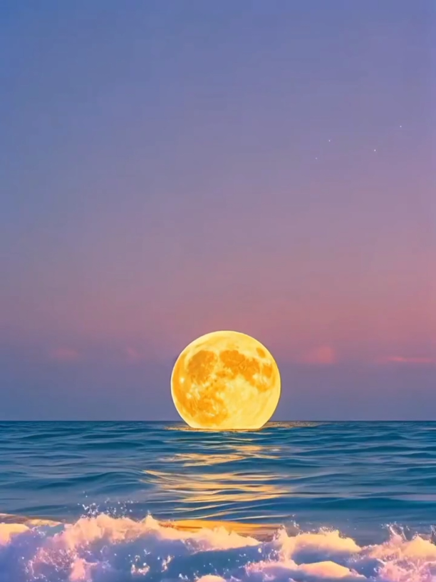 Beautiful Nature Video🥰 #viral #🥀🥀 #🌹🌹🌹 #place #nature #photography #islamicvideo #fouryou #explore #trends #beautyofnature #❤️❤️❤️ 