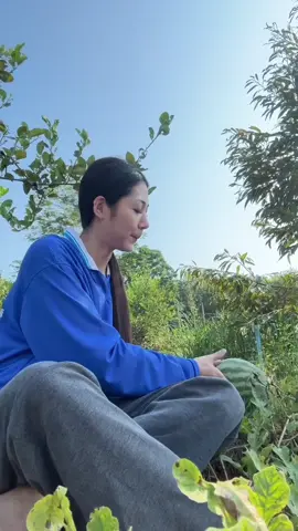 🤭 #สุราษฎร์ธานี 