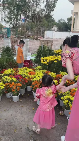 Dau Đi chợ hoa thấy hoa là ngửi thấy cưng lắm cô chú ơi 🥰🥰🥰@Mỹ Phẩm Trần Thị Ngọc Thảo #trending #bosss #xuhuong #ncollagen 