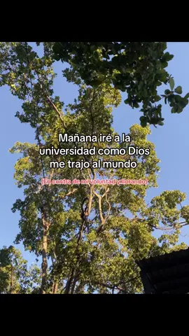 😞😞#fyppppppppppppppppppppppp #viralal #lentejas #humor 