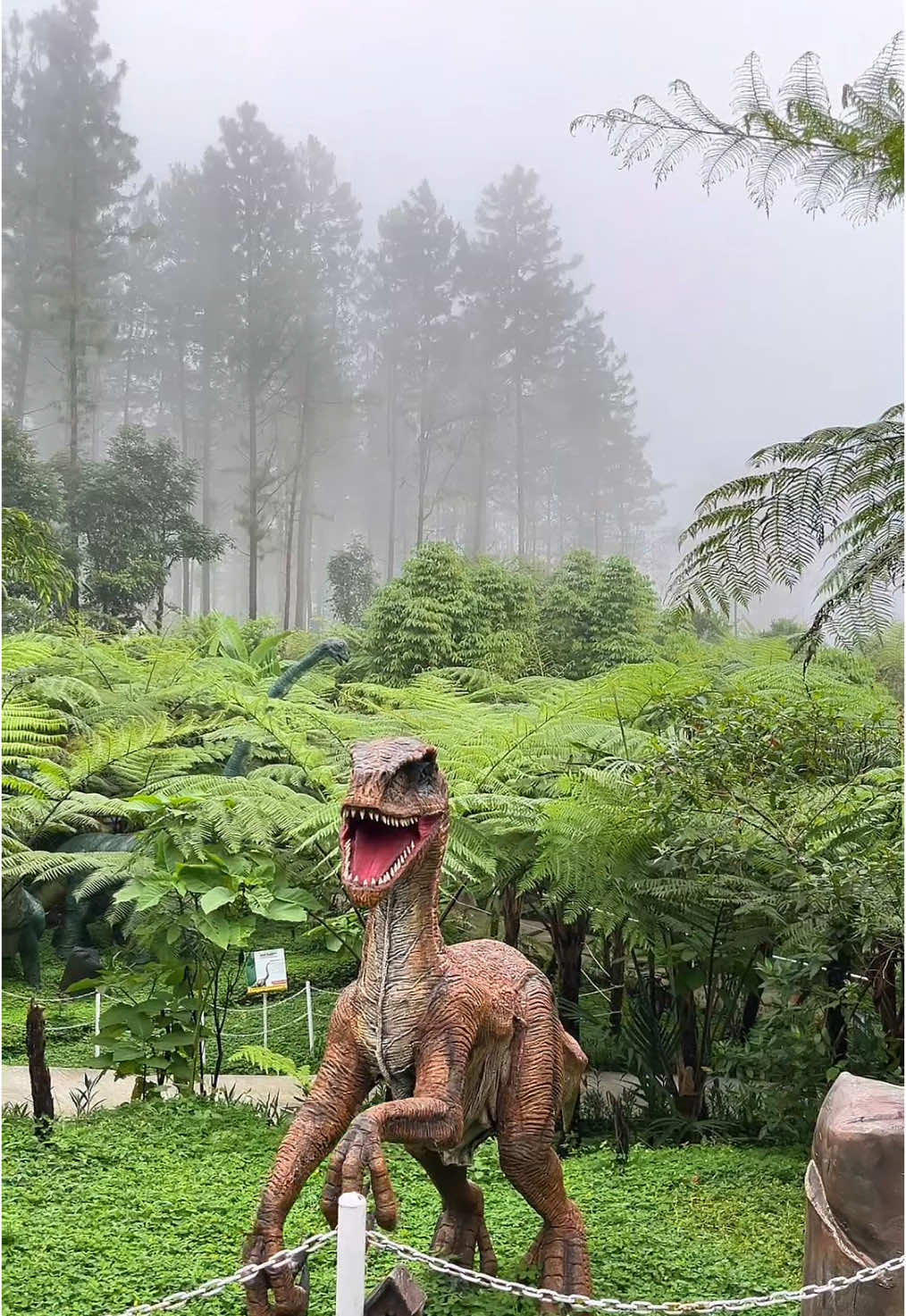 #dlas #purbalingga #wisata #xybca 