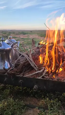 #في هذا اليوم 