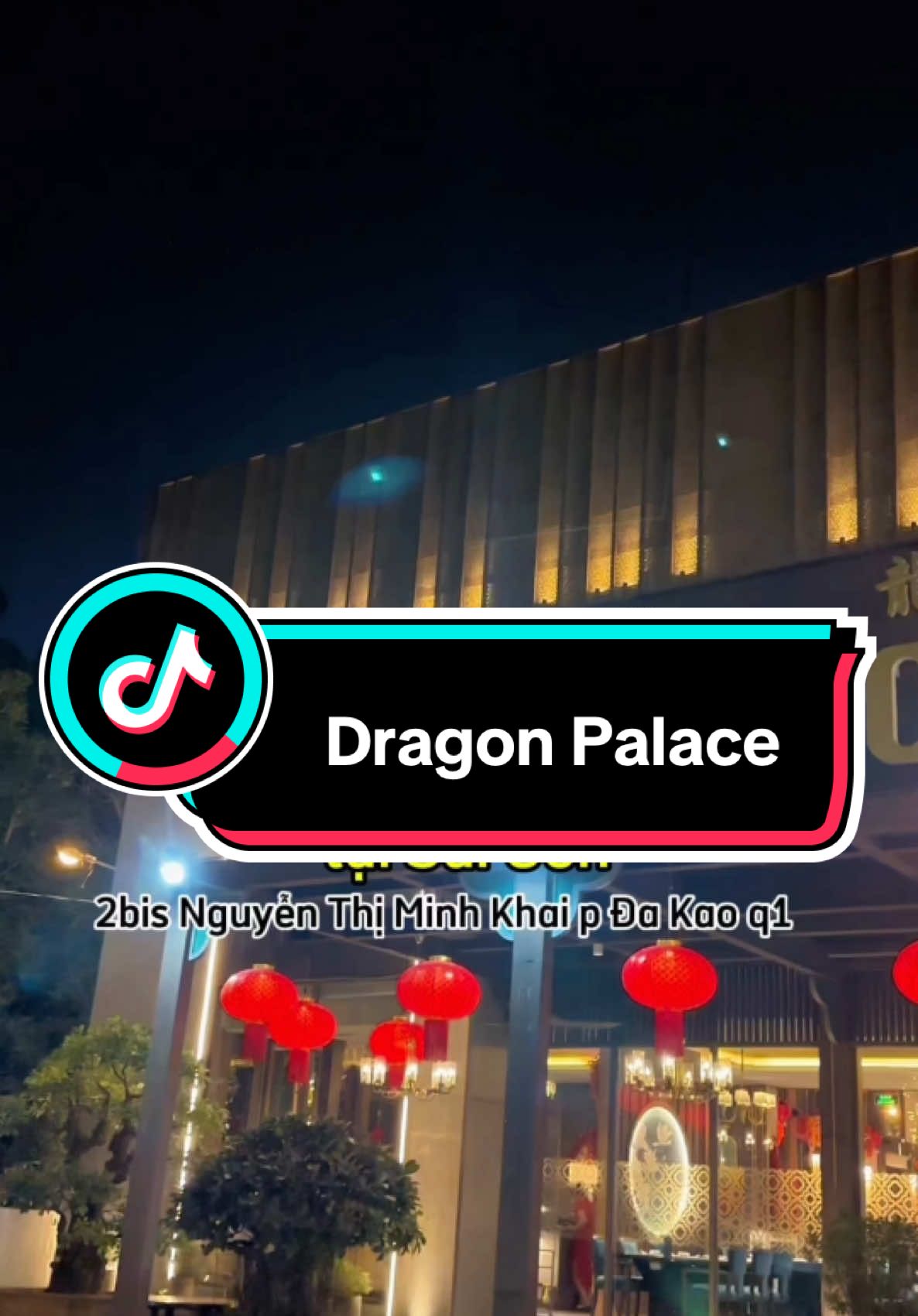 #samtetbaovui #vivusaigoncungbong #mebireview_1209 #bongbaby2506 #vietnam #petshopxoaixiu #vobepcungboyeu #tiemgiatsaysachthom #review #fyp #foryou #xuhuong #LearnOnTikTok #tienich #tienloi #mukbang #ancungtiktok #thuduc #quan9 #saigon  #dragonpalace #GlobalX #Saigonbynights #nhahangtrunghoa #monngonTet  