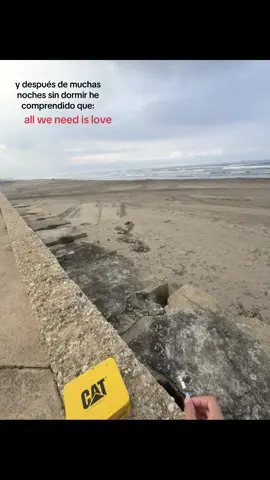 #canserbero 