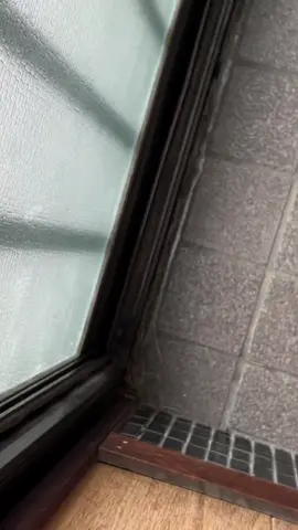 たくさん歩いた笑