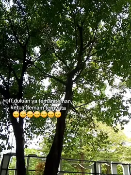 #sickday#sickbaby#bismillahrame#sadvibes🥀#fyppppppppppppppppppppppp#katakata#xybca#lewatberandagak#lewatberanda#galaubrutalll