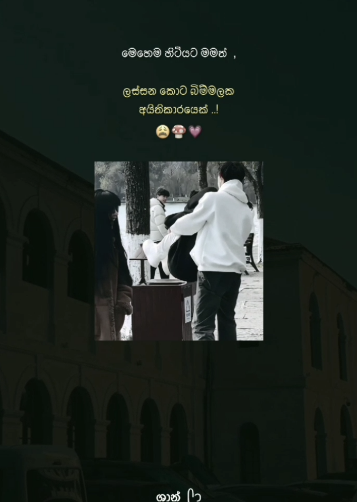 මෙහෙම හිටියට මටත් ඉන්නවා ලස්සන කොට බිම් මලක් ..😩💗🍄 #viral #viralvideo #trending #Love #couple #mention  #trendingvideo #status #statusvideo #ශාන්💛 