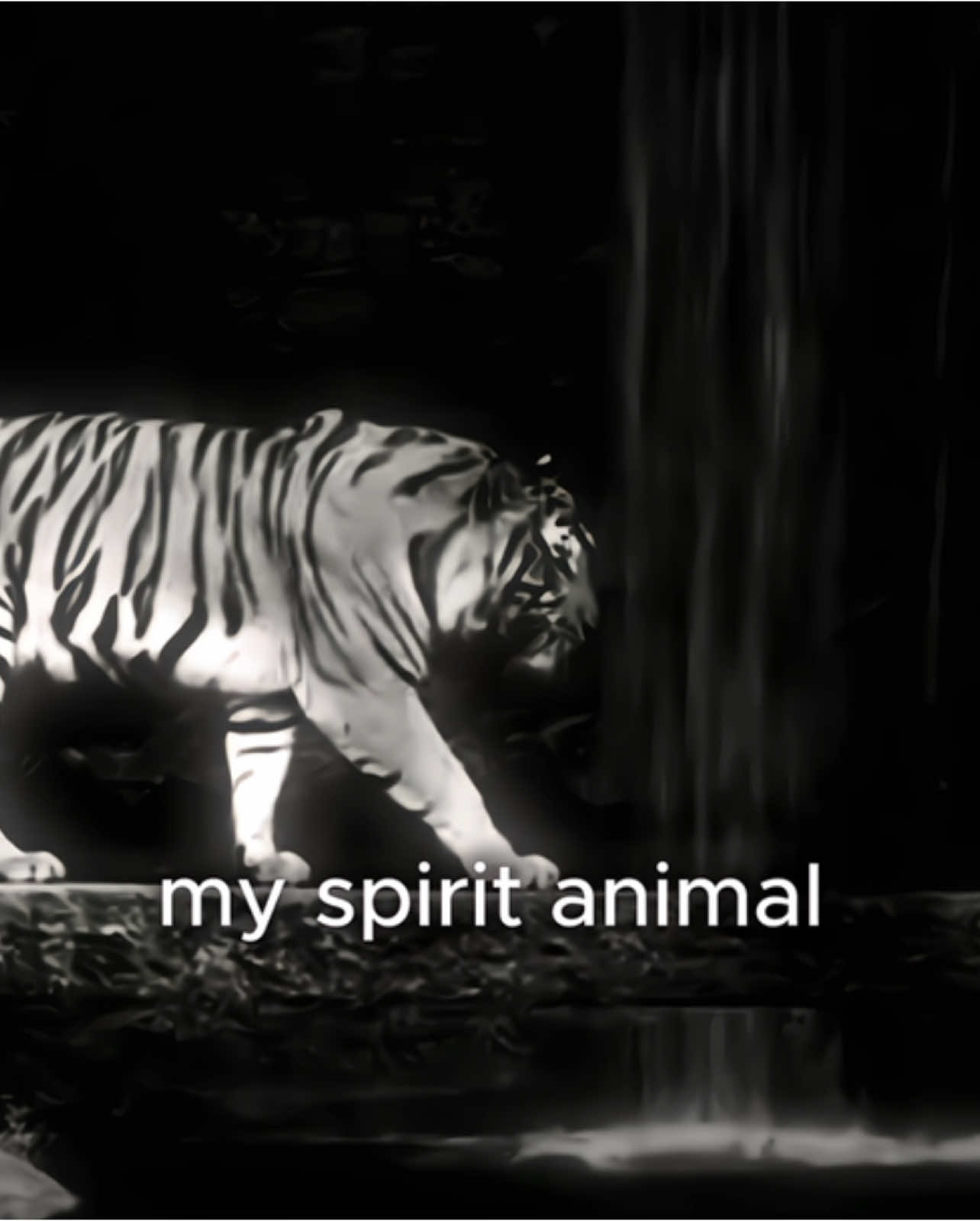 мое тотемное животное – тигр. #fyp #spiritanimal #tiger #mxmilian #fyppppppppppppppppppppppp 