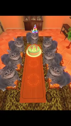 #tiktok #meme #cat #catsoftiktok #brainrot #lol #animal #editing #birthday #happybirthday #fyp #fy #party 