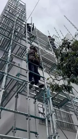Kurang lebih begini lah pekerjaan saya di jepang untuk yang kemarin kemarin banyak nanya kerja apa ya ni yahh sudah di jawab, tenang aman, nyaman dan tentram untuk yang mau ke jepang siapkan kesehatan, mental sama fisiknya ya minasan 頑張れ🔥🔥🔥, video by syachou #ashiba #RISE #kenshuseijapan🇮🇩🇯🇵🎌 #scaffolding #FUYU #japanese #suriage 