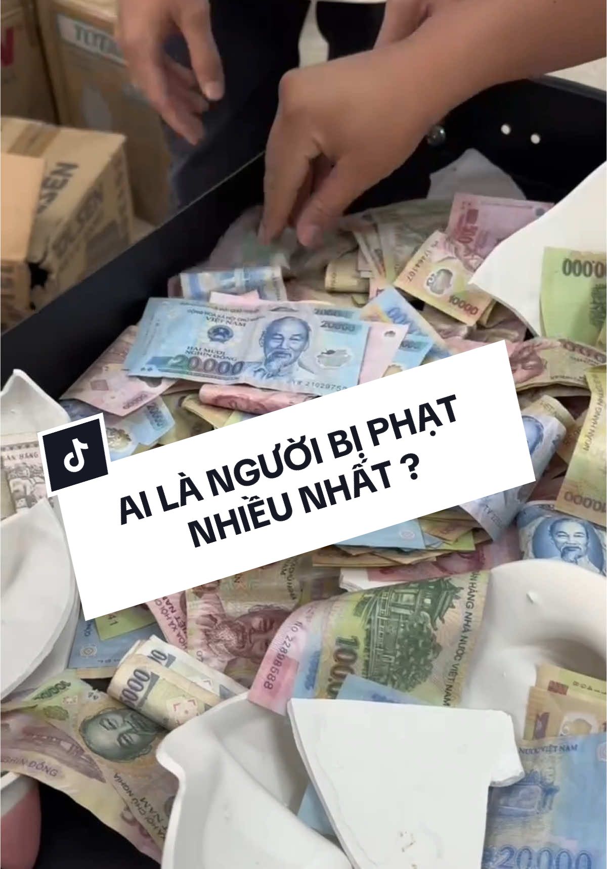 AE Đã Đập Heo Ăn Tết Chưa ? 😂
