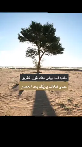 معادني حبيبك وا حبيبي معادني حبيبك#اكسبلوورر🍂🍃تصميم🌿💫رايع💦🌱 #دعمكم_لايك_ومتابعه_واكسبلور_حته_استمر 