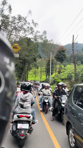 Ciwidey tgl 27 januari 2025. Beuuh mantap🔥