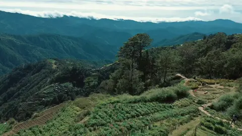Northern Blossom Flower Farm x Highest Point #djimini3 #drjidrones #atok #northernblossomflowerfarm  #benguet #nature #natureshot #cinematic #relaxing