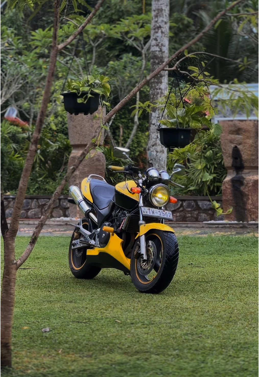 කටකාරි 😫💛🐝 #BELA💛🐝 #ha_zi_💙🐝 #TW_1562💛🐝 #hornet #hornet250 #1million #trending #fyp #foryou #foryoupage #nawagamuwa 