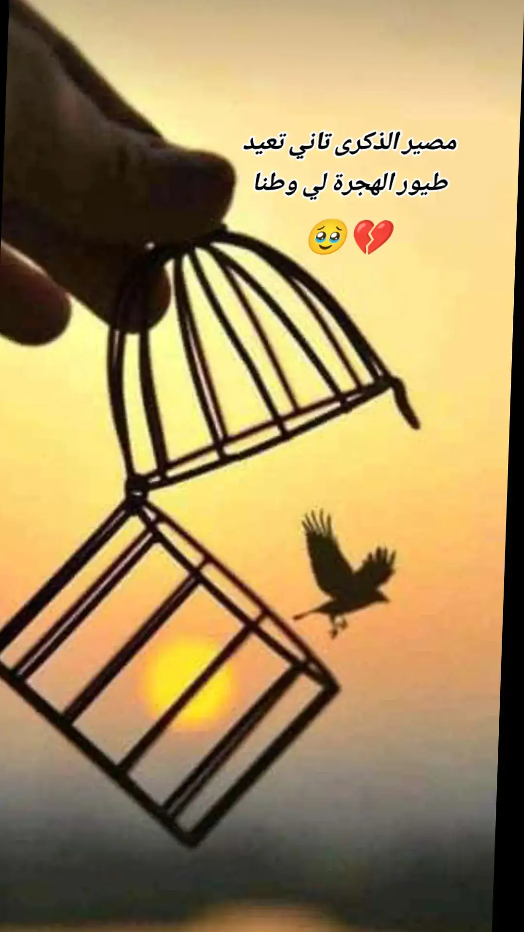 #سودان #السودان  #سودانيز_تيك_توك  #سودانيز_تيك_توك_مشاهير_السودان  #اغاني_سودانية  #fyp 